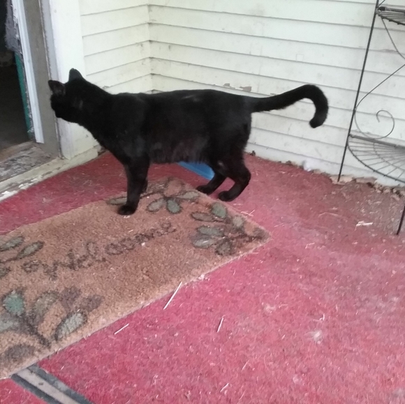 Meet your Posher, La veta - Picture 7 of 7